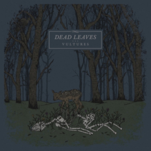 Dead Leaves - Vultures ryhmässä VINYYLI / Rock @ Bengans Skivbutik AB (2545408)