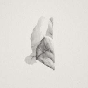 Jabu - Sleep Heavy ryhmässä VINYYLI @ Bengans Skivbutik AB (2545604)
