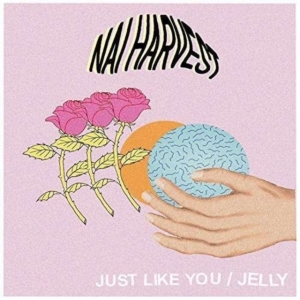 Nai Harvest - Just Like You - ryhmässä VINYYLI @ Bengans Skivbutik AB (2549017)