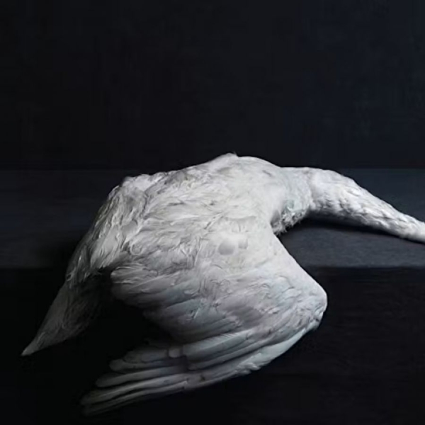 Amenra - Mass Vi ryhmässä CD / Myydyimmät @ Bengans Skivbutik AB (2557253)