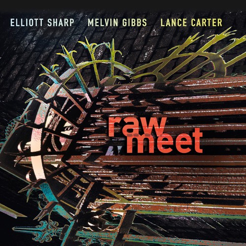 Elliott Sharp Melvin Gibbs Lance - Raw Meet ryhmässä CD / Jazz/Blues @ Bengans Skivbutik AB (2557352)