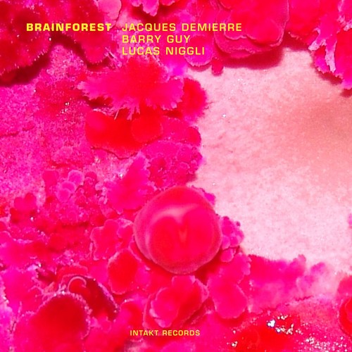 Jacques Demierre Barry Guy Lucas - Brainforest ryhmässä CD / Myydyimmät @ Bengans Skivbutik AB (2557367)
