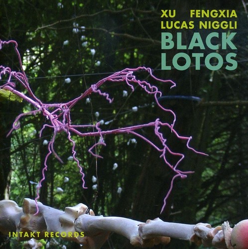 Xu Fengxia - Lucas Niggli - Black Lotos ryhmässä CD / Jazz/Blues @ Bengans Skivbutik AB (2557418)