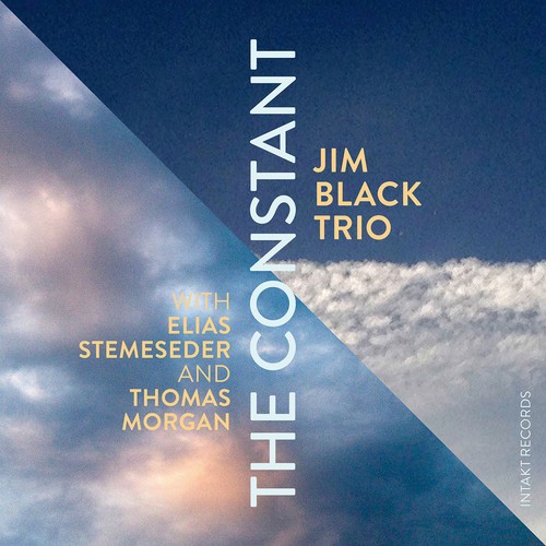 Jim Black Trio - The Constant ryhmässä CD / Jazz/Blues @ Bengans Skivbutik AB (2557518)