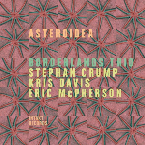 Borderlands Trio - Asteroidea ryhmässä CD / Jazz/Blues @ Bengans Skivbutik AB (2557543)