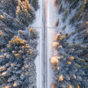 BVDUB - HEARTLESS ryhmässä CD @ Bengans Skivbutik AB (2560265)