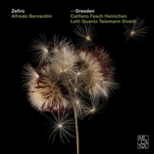Various - Dresden ryhmässä CD @ Bengans Skivbutik AB (2607674)