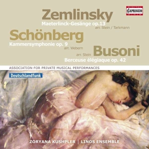 Zemlinsky Alexander Schoenberg A - Orchestral Songs ryhmässä CD @ Bengans Skivbutik AB (2607678)