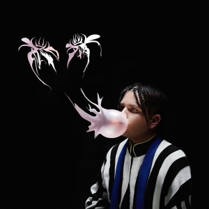 Lorentz - Lycka Till ryhmässä VINYYLI @ Bengans Skivbutik AB (2644469)