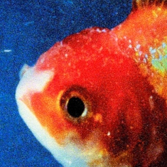 Vince Staples - Big Fish Theory (Picture disc) ryhmässä VINYYLI @ Bengans Skivbutik AB (2657171)