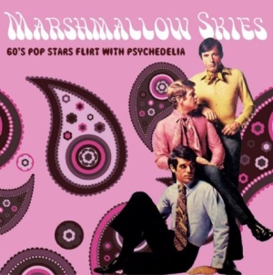 Various Artists - Marshmallow Skies (60's Pop Stars F ryhmässä CD @ Bengans Skivbutik AB (2674332)