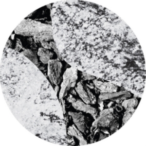 Bonebrokk - Hollow Systems ryhmässä VINYYLI @ Bengans Skivbutik AB (2674433)