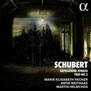 Schubert Franz - Arpeggione Sonata & Trio No. 2 ryhmässä CD @ Bengans Skivbutik AB (2721330)