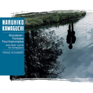 Liszt Franz Schubert Franz - Piano Works ryhmässä CD @ Bengans Skivbutik AB (2728270)
