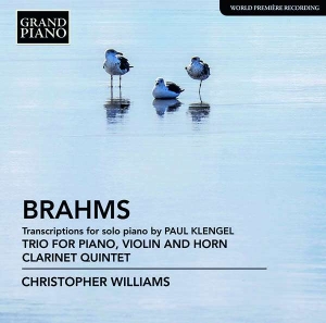 Brahms Johannes - Transcriptions For Solo Piano (By K ryhmässä CD @ Bengans Skivbutik AB (2728299)
