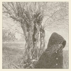 Lankum - Between The Earth And Sky ryhmässä VINYYLI @ Bengans Skivbutik AB (2765592)