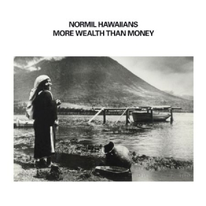 Normil Hawaiians - More Wealth Than Money ryhmässä VINYYLI @ Bengans Skivbutik AB (2788529)