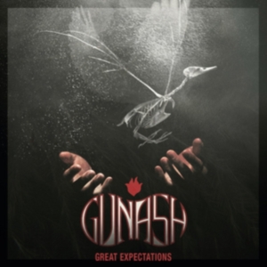 Gunash - Great Expectations ryhmässä CD @ Bengans Skivbutik AB (2822262)