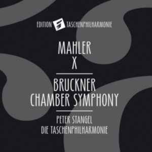 Bruckner Anton Mahler Gustav - Chamber Symphony ryhmässä CD @ Bengans Skivbutik AB (2822282)