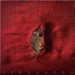 Permahorn - My Blood Carries My Dreams Away (Re ryhmässä VINYYLI @ Bengans Skivbutik AB (2851465)