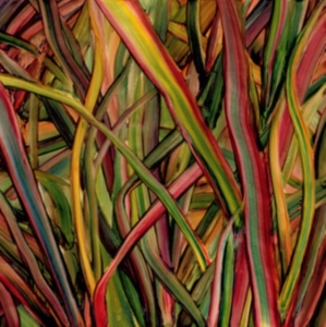 Gengahr - Where Wilderness Grows ryhmässä ME SUOSITTELEMME / Klassiska lablar / PIAS Recordings @ Bengans Skivbutik AB (2851568)