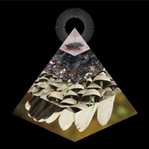 Belus - Apophenia ryhmässä CD @ Bengans Skivbutik AB (2865231)