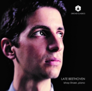 Beethoven Ludwig Van - Late Beethoven ryhmässä CD @ Bengans Skivbutik AB (2870127)
