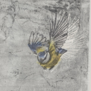 Mésange - Heliotrope ryhmässä VINYYLI @ Bengans Skivbutik AB (2881809)