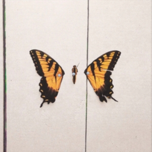 Paramore - Brand New Eyes ryhmässä VINYYLI @ Bengans Skivbutik AB (2887058)