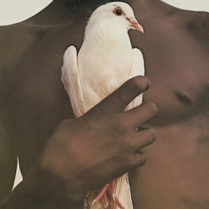 Santana - Greatest Hits (1974) ryhmässä Minishops / Santana @ Bengans Skivbutik AB (2896205)