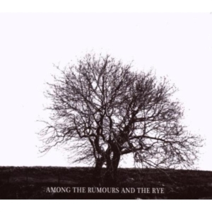 Mr David Viner - Among The Rumours And The R ryhmässä CD @ Bengans Skivbutik AB (2998361)