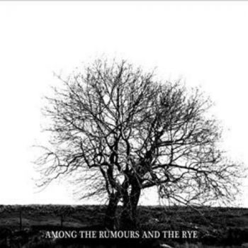 Mr. David Viner - Among The Rumours And The R ryhmässä CD / Country @ Bengans Skivbutik AB (2998361)