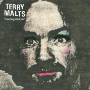 Terry Malts - Something About You ryhmässä VINYYLI @ Bengans Skivbutik AB (3013823)
