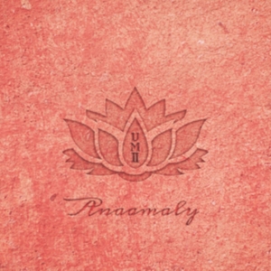Anaamaly - Urban Metta Vol 2 ryhmässä CD @ Bengans Skivbutik AB (3034522)