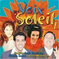 Blandade Artister - Le Soleil Dans La Voix ryhmässä CD @ Bengans Skivbutik AB (3042783)