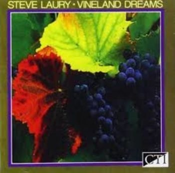 Laury Steve - Vineland Dreams ryhmässä CD / Jazz/Blues @ Bengans Skivbutik AB (3043499)