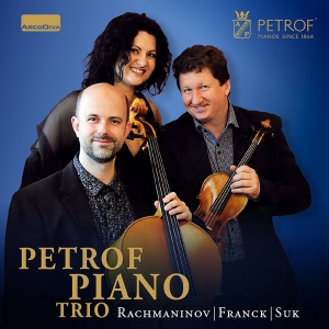 Franck César Rachmaninov Sergey - Piano Trios ryhmässä CD @ Bengans Skivbutik AB (3049462)
