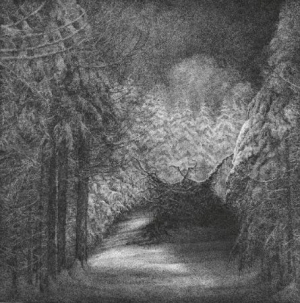 Djevel - Blant Svarte Graner ryhmässä CD @ Bengans Skivbutik AB (3052614)