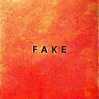 Die Nerven - Fake ryhmässä VINYYLI @ Bengans Skivbutik AB (3083035)