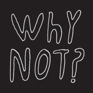 Half Japanese - Why Not? ryhmässä VINYYLI @ Bengans Skivbutik AB (3083637)