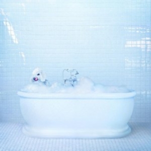 Frankie Cosmos - Vessel ryhmässä VINYYLI @ Bengans Skivbutik AB (3084310)