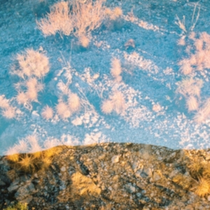 Moon Gangs - Earth Loop ryhmässä CD @ Bengans Skivbutik AB (3110238)