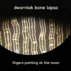 Dworniak Bone Lapsa - Fingers Pointing At The Moon ryhmässä CD @ Bengans Skivbutik AB (3110240)