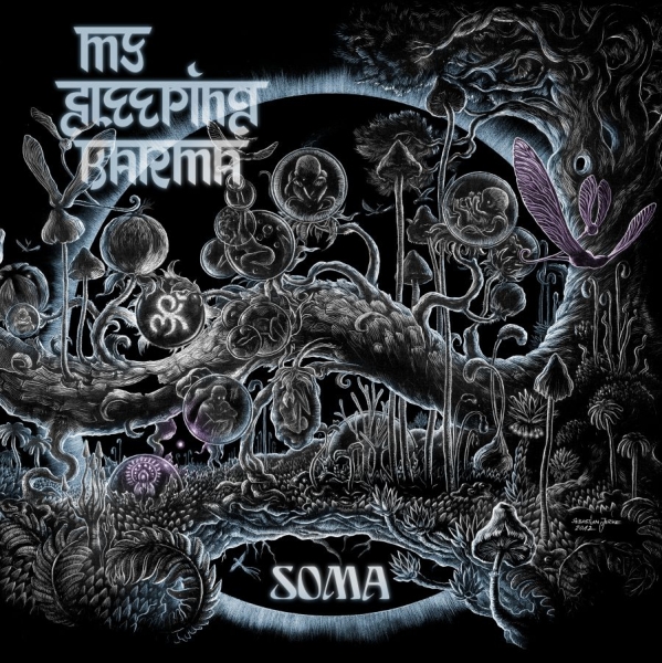 My Sleeping Karma - Soma - Ltd.Ed. ryhmässä CD / Myydyimmät @ Bengans Skivbutik AB (3115759)