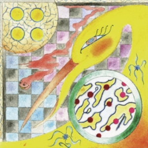 Wand - Perfume ryhmässä CD @ Bengans Skivbutik AB (3126974)