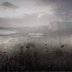 Trinidad Joshua - In November ryhmässä CD @ Bengans Skivbutik AB (3127040)