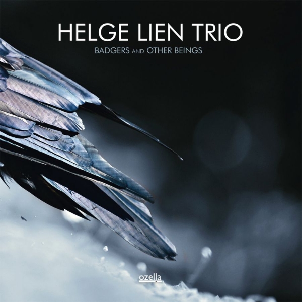 Lien Helge (Trio) - Badgers And Other Beings ryhmässä CD / Myydyimmät @ Bengans Skivbutik AB (3186714)
