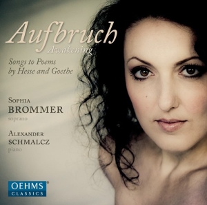 Brommer - Aufbruch ryhmässä CD @ Bengans Skivbutik AB (3187151)