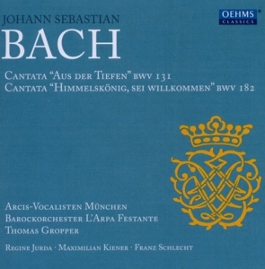 Bach - Kantaten ryhmässä CD @ Bengans Skivbutik AB (3187443)