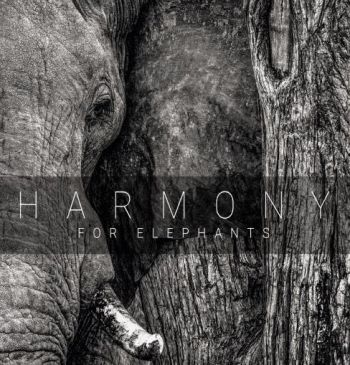 Various Artists - Harmony For Elephants ~ A Charity A ryhmässä CD / Myydyimmät @ Bengans Skivbutik AB (3205254)
